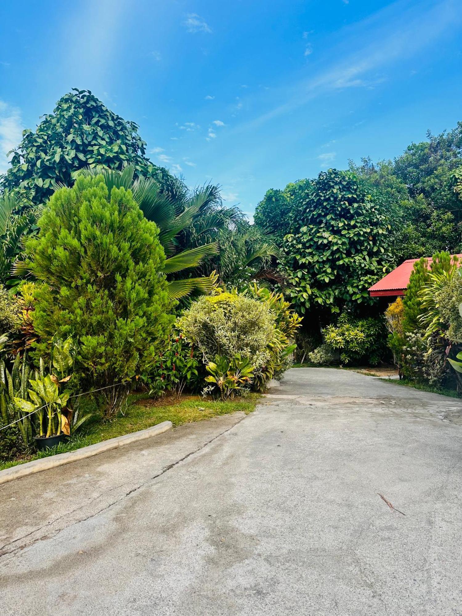 Alha Villa Baie Lazare  Buitenkant foto